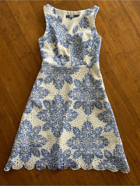 Anthropologie Dresses & Skirts - Anthropologie Blue and White Lace Midi Dress